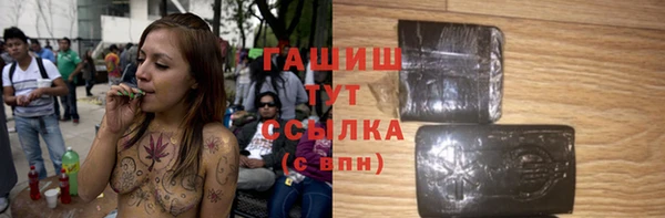 прущие грибы Алзамай