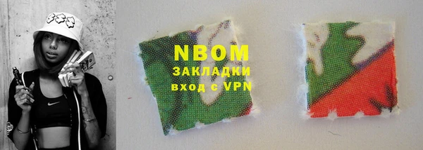 прущие грибы Алзамай