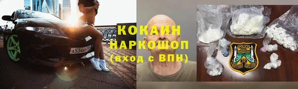 прущие грибы Алзамай