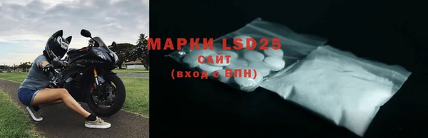прущие грибы Алзамай