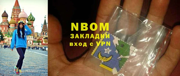 прущие грибы Алзамай