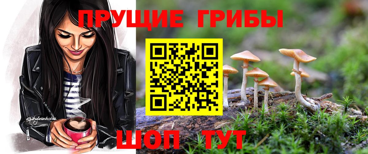 Псилоцибиновые грибы Cubensis  Вход с VPN  Муравленко  Псилоцибиновые грибы MAGIC MUSHROOMS 