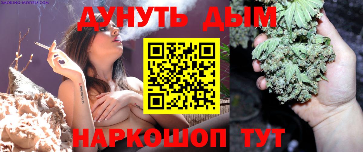 Конопля сатива Муравленко